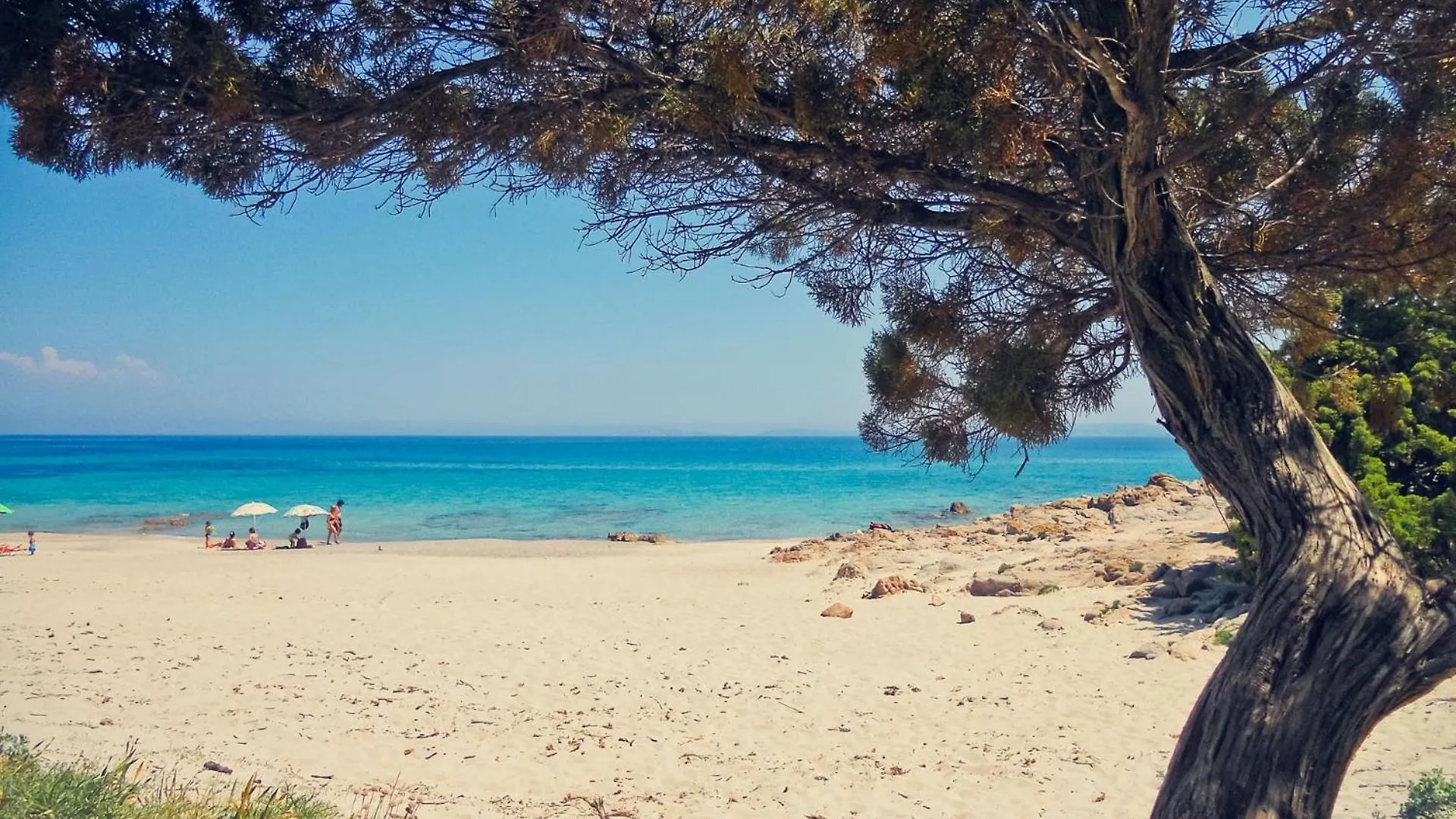 Rustico Gallurese Vignola Mare Italie